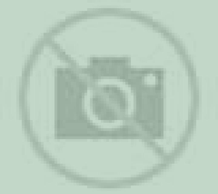 Abril 2 Broto escort