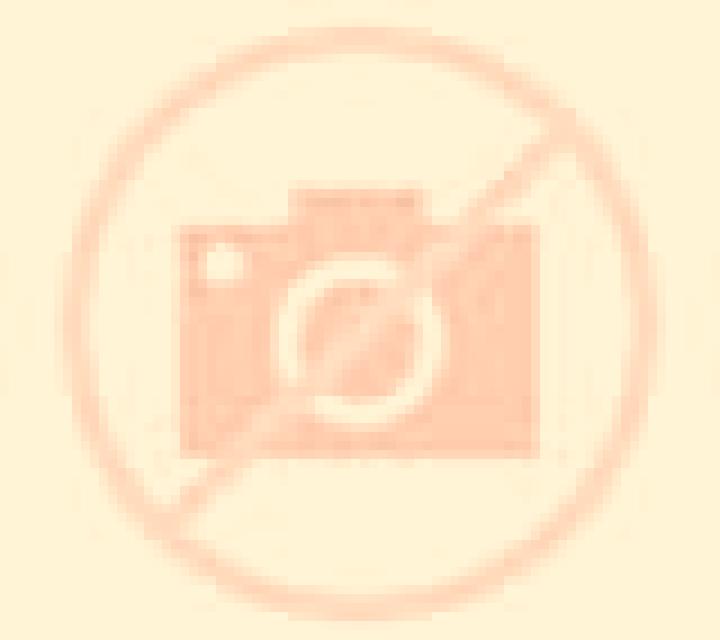Abril 2 Vilches escort