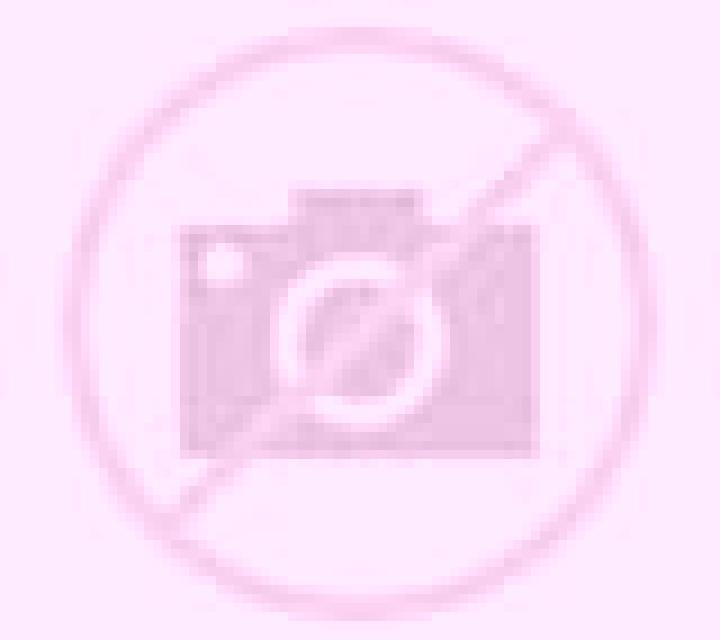 Abril Cidones escort