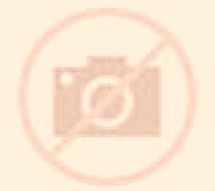 Abril Mirandilla escort
