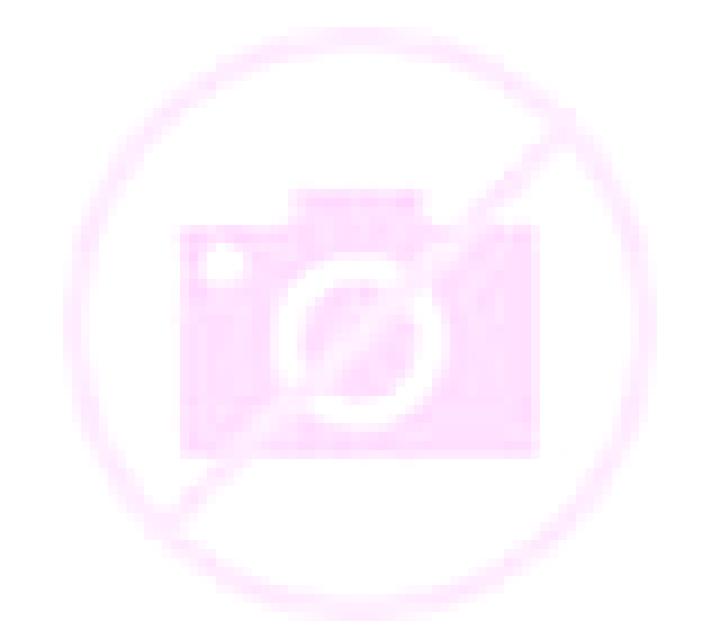 Adriana Partaloa escort