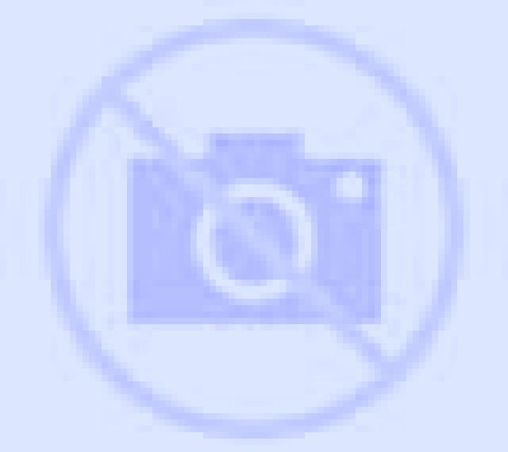 Adriana Villaverde del Rio escort