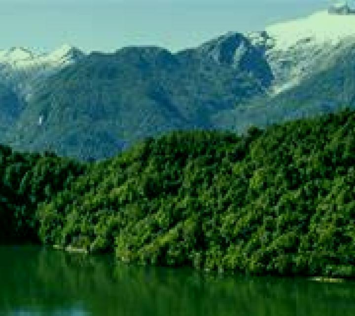 Aitana Tartanedo escort