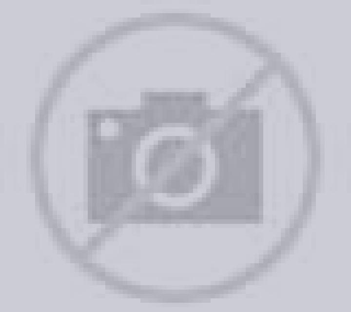 Alejandra Constantina escort