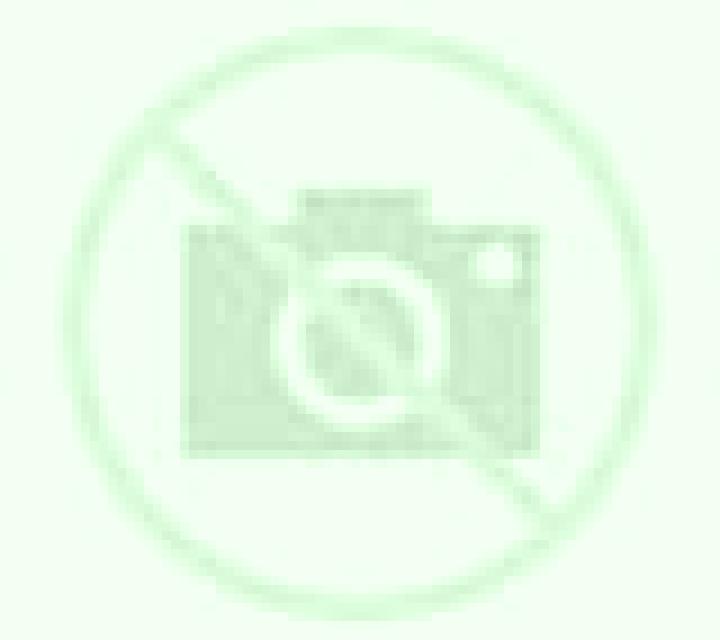 Amanda Alfarp escort