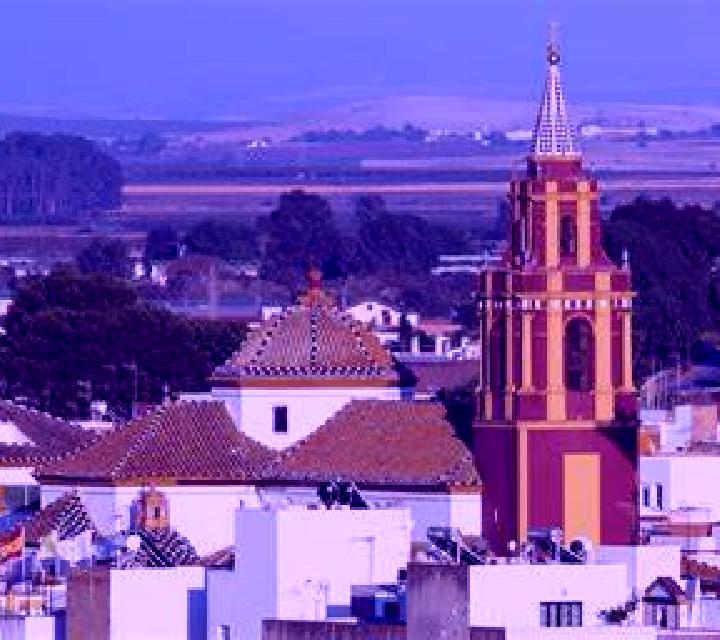 Amanda Los Palacios y Villafranca escort