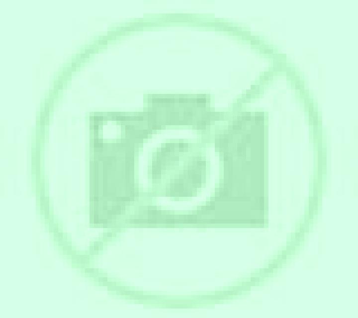 Amanda Torre de Don Miguel escort