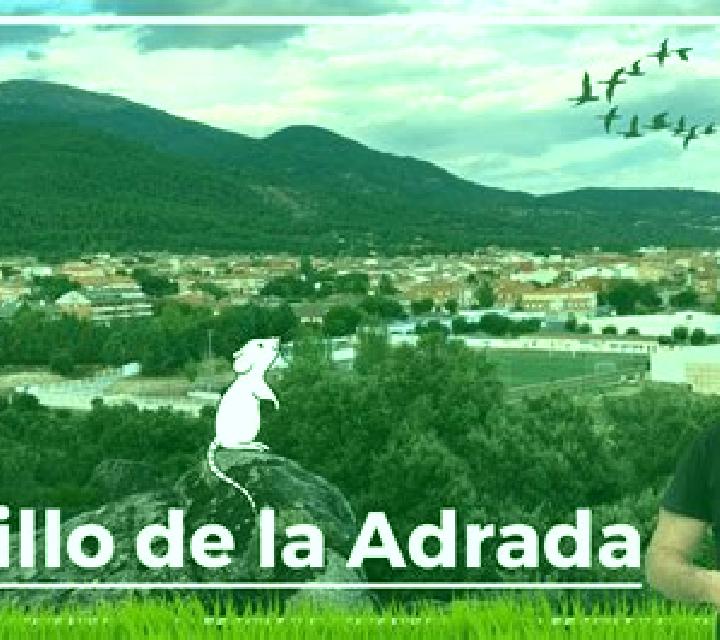 Amaya 3 Serradilla escort