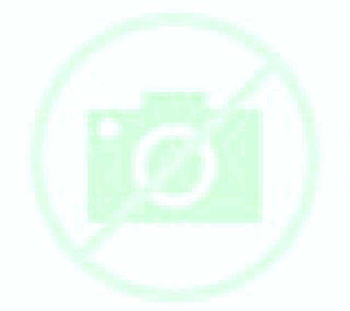 Amaya Canillas escort