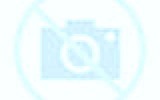Amaya Villalpardo escort
