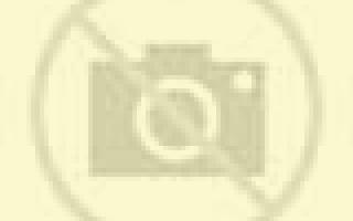 Andrea 2 Bovera escort