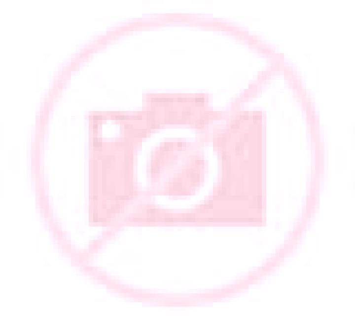 Andrea Comillas escort