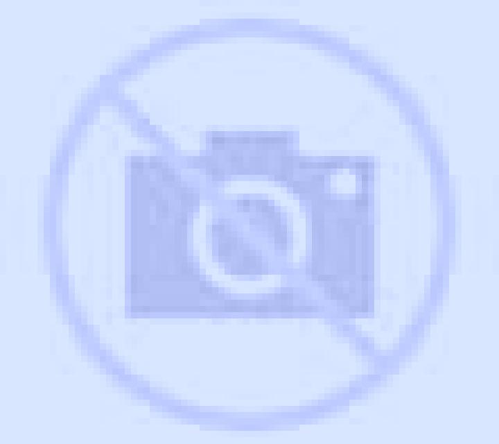 Antonella Tejadillos escort
