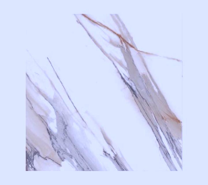 Beatriz 2 Fuentebureba escort