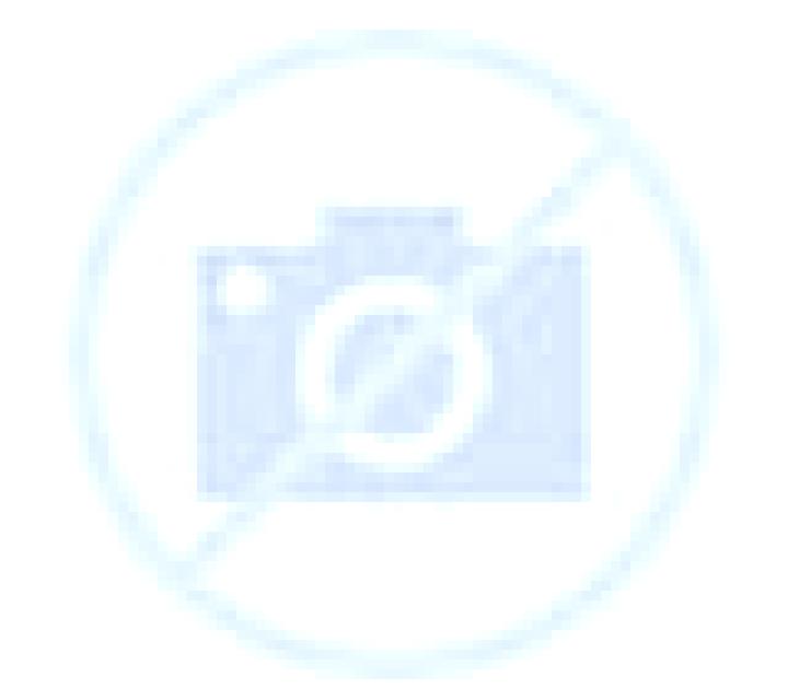 Beatriz Petres escort