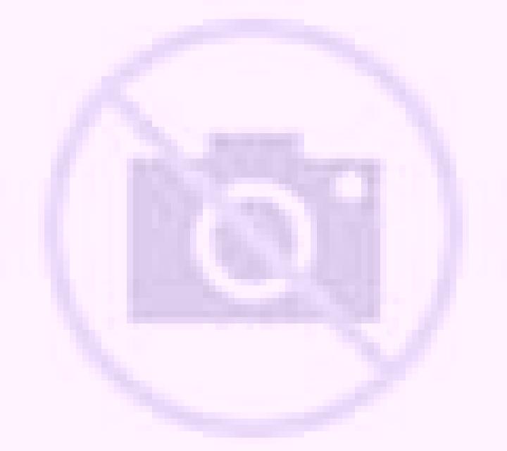Camila 2 Farrera escort