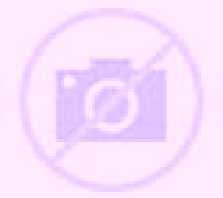 Camila 3 els Poblets escort