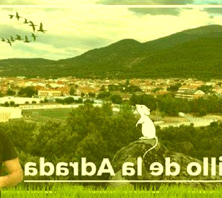 Camila 3 Vilanova de Bellpuig escort