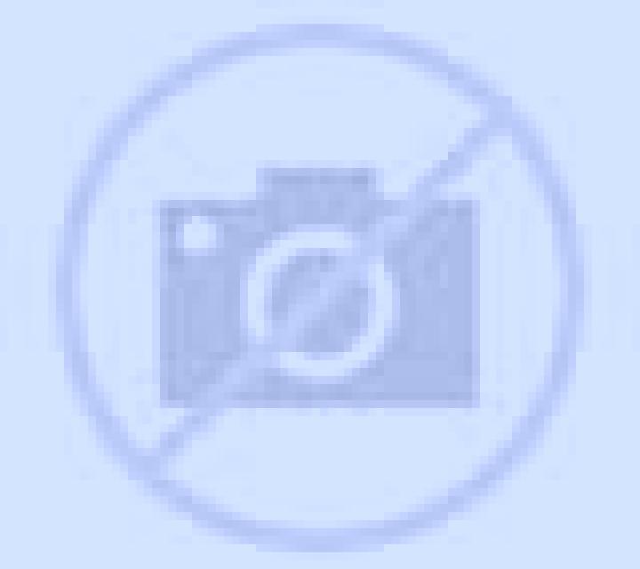 Camila Casariche escort