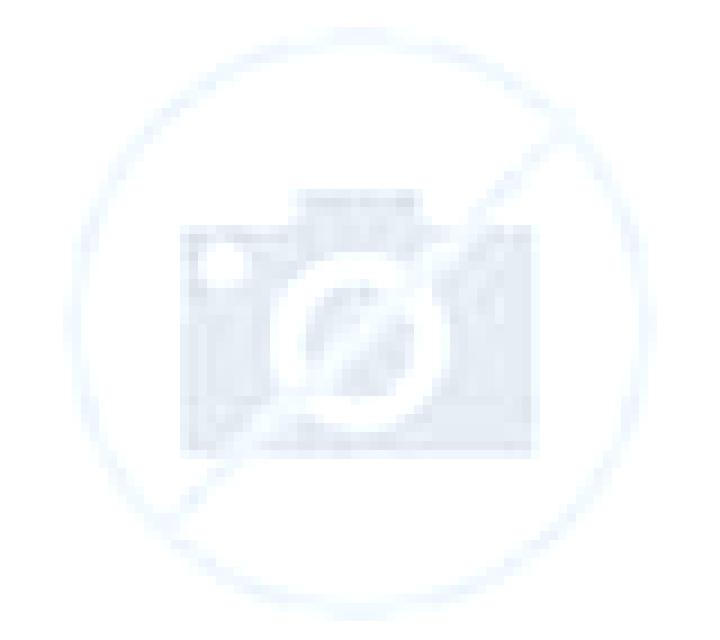 Camila Monda escort