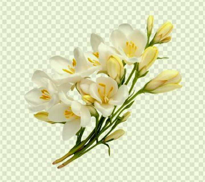Carla 3 Caldes de Montbui escort