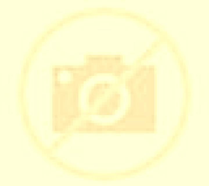 Carla El Vendrell escort