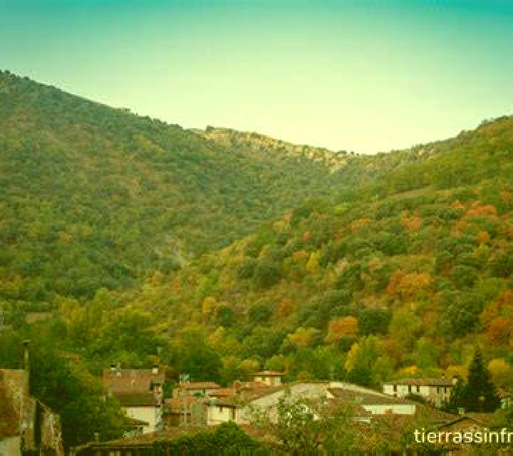 Cayetana 2 Peralta escort