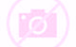 Claudia 3 Dumbria escort