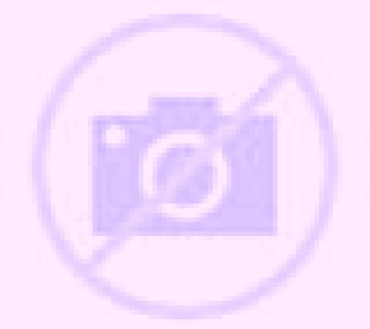 Claudia Bercial escort