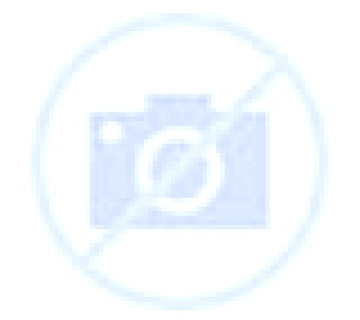 Daniela Castaras escort