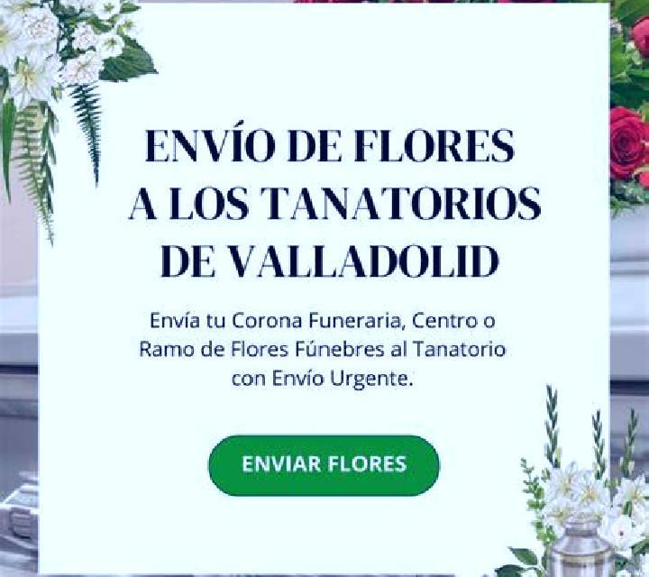 Daniela Xirivella escort