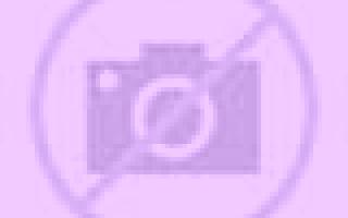 Diana Bellvis escort