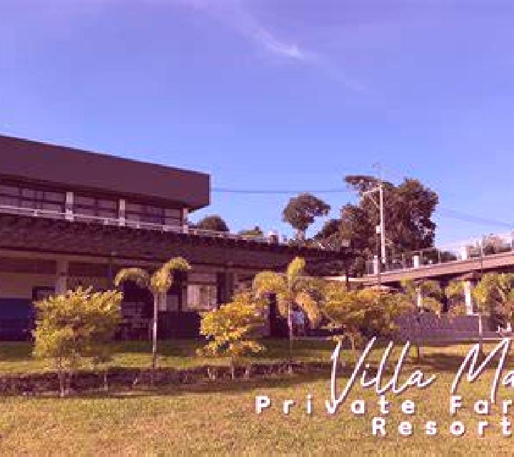 Diana Villar de Gallimazo escort
