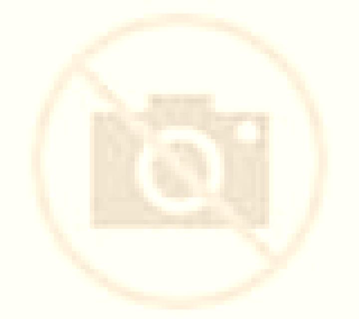 Elena 3 Fornalutx escort