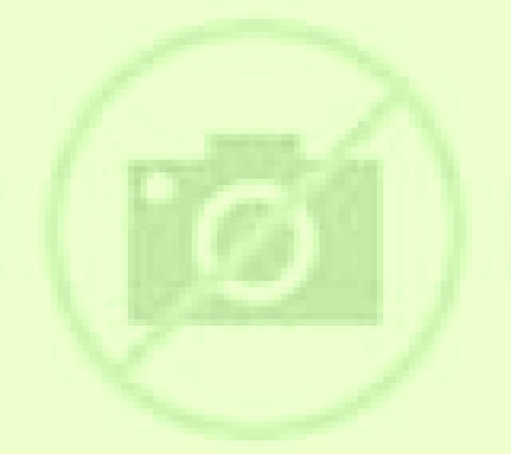 Elena Velez-Malaga escort
