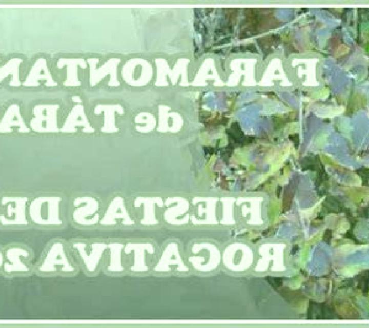 Emilia Almohaja escort