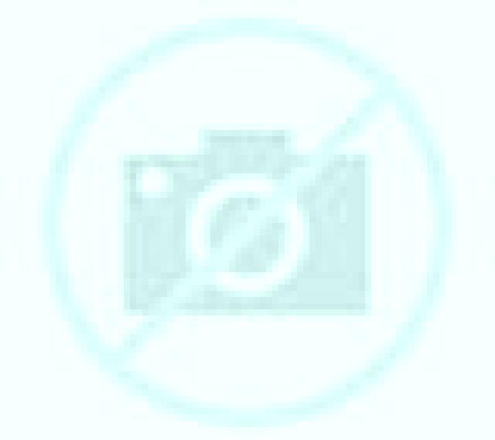 Gabriela Arboleas escort