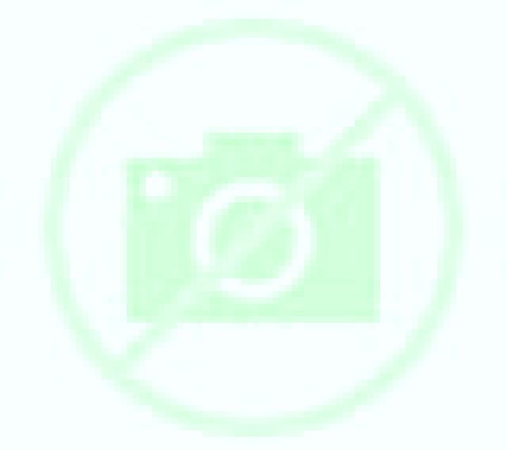 Gabriela Moneva escort