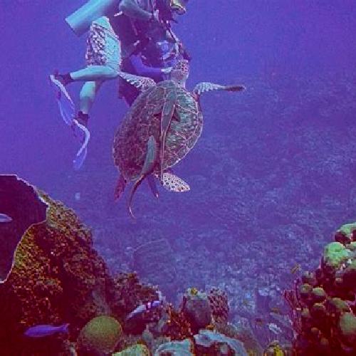 Giulia 2 Alustante escort