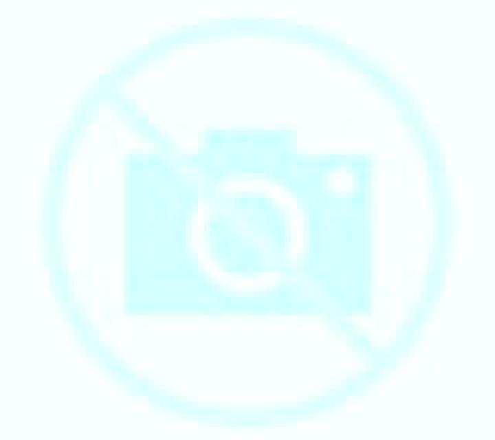 Irene 2 Sotodosos escort