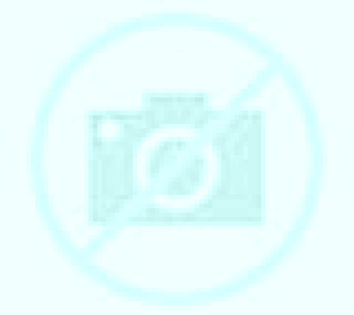 Irene 2 Vinaros escort