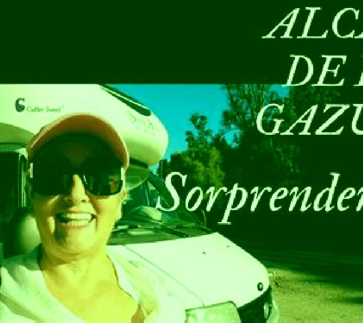 Irene 3 Bedar escort