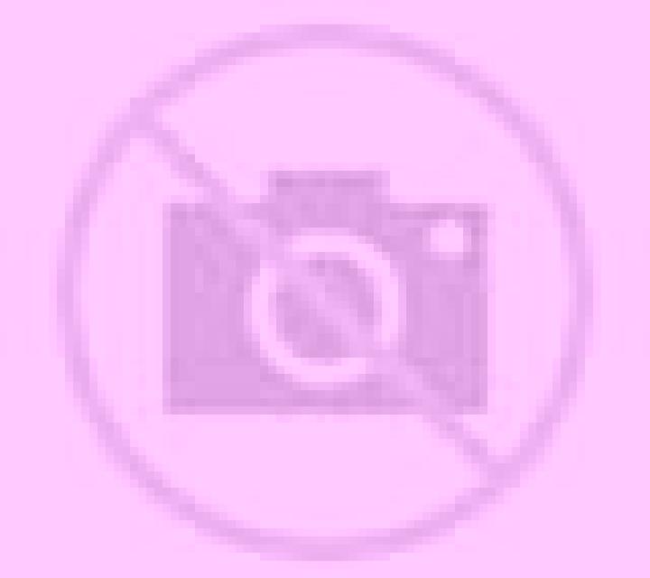 Irene La Haba escort