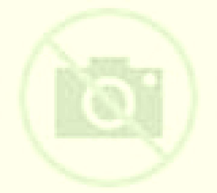Irene Narros del Castillo escort