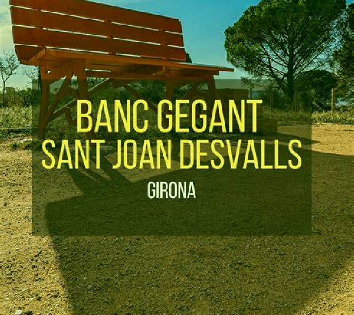 Irene Sant Jordi Desvalls escort