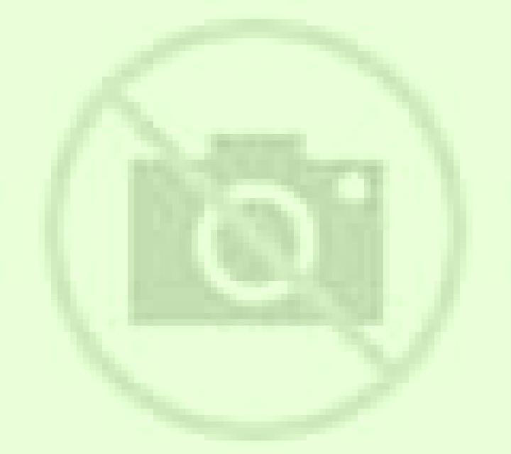 Isabella Valderas escort