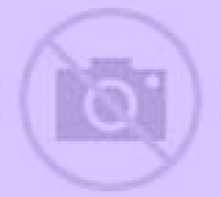 Jade Pauels escort