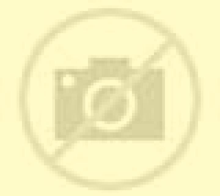 Julia 3 Liedena escort
