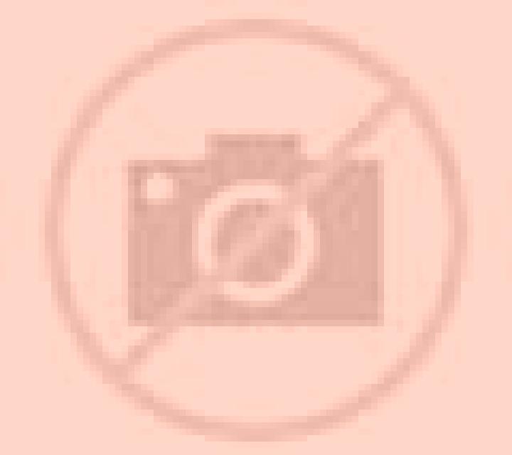 Katia Alguena escort