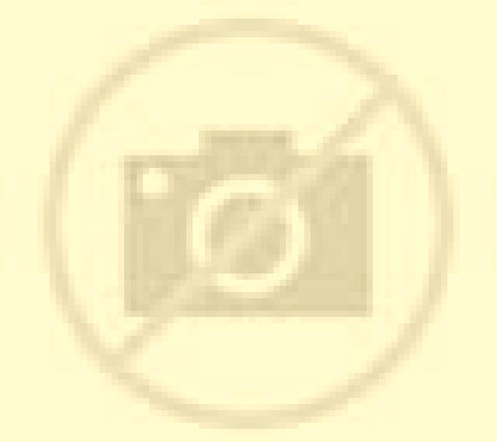Katia Munera escort